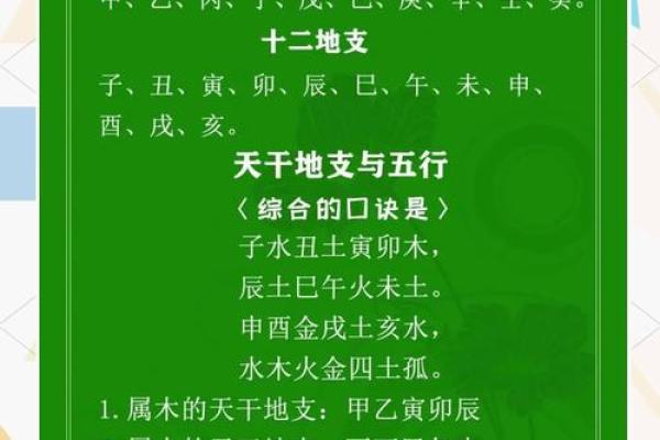 支干地支与八字命理的深度联系