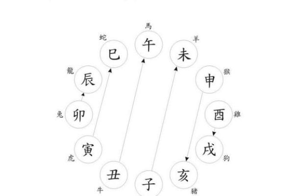 地支全伤官对个人运势的影响解析