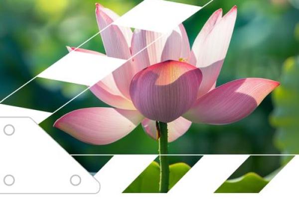 侯安然:宁静如水,安然自若的姓名运势解析 侯安然:宁静如水,安然自若的姓名运势解析