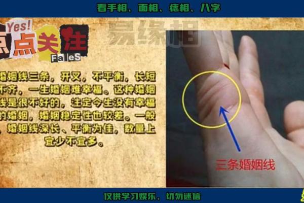 手相揭秘:嫁外地运势大揭秘! 手相揭秘:嫁外地运势大揭秘!