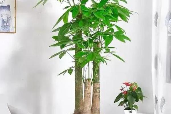 旺家旺运风水神器：旺子女摆设，助您事业家庭双丰收