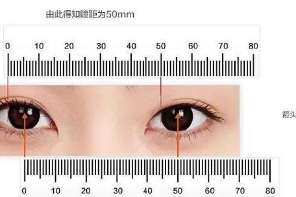 瞳距近观人智 瞳距近观人智