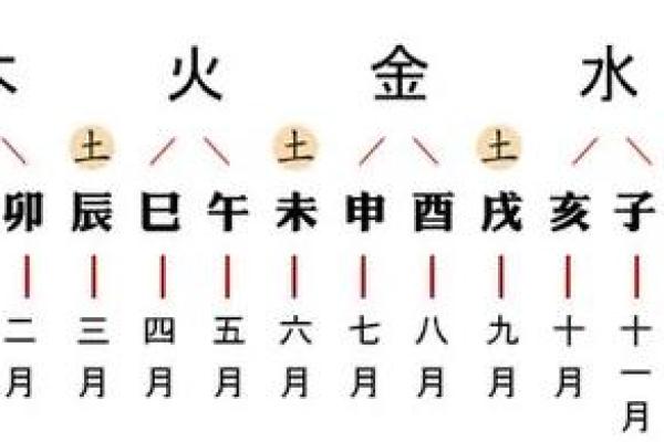 月柱地支对婚姻与事业的影响解析