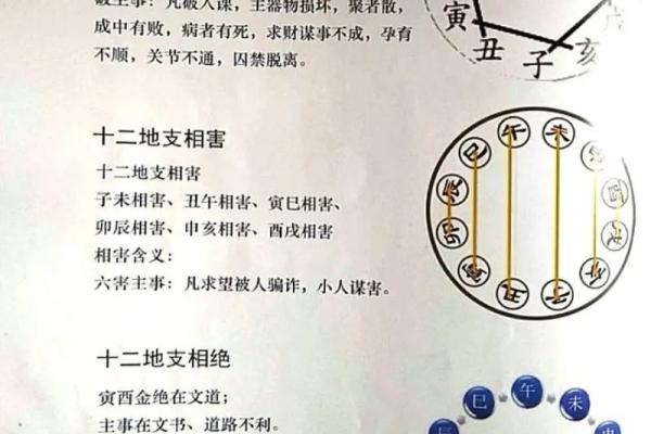 地支相生的秘密揭示与运势关联 地支相生的秘密揭示与运势关联