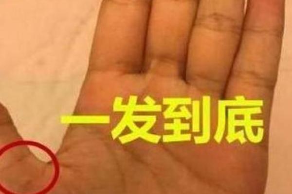 手掌M纹魅力大揭秘:究竟是不是最好手相? 手掌M纹魅力大揭秘:究竟是不是最好手相?
