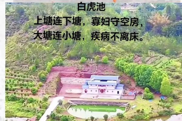 泪滴风水摆设，财运滚滚来