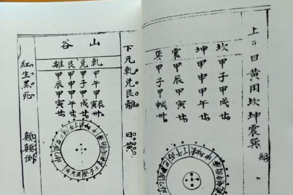 揭秘：阳宅风水哪家派系最精准，权威解读为你揭晓