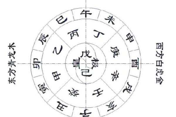 地支未的传统解读与现代应用 地支未的传统解读与现代应用