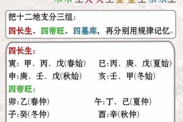 探索地支与命理的关系