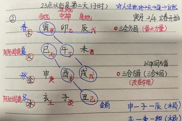 探索地支与命理的关系