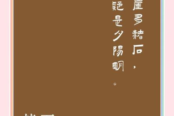 黑赭石在风水中的独特作用与应用解析 黑赭石在风水中的独特作用与应用解析