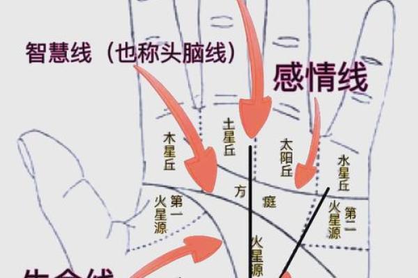 手相中隐藏的天罗地网,掌握命运脉搏的神奇解读 手相中隐藏的天罗地网,掌握命运脉搏的神奇解读