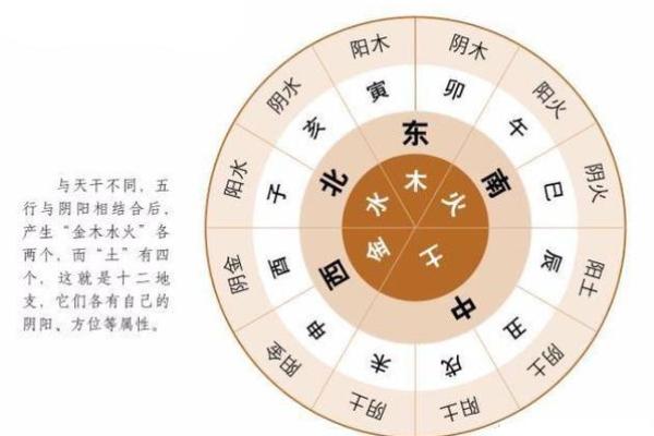 子亥地支的组合对命运的影响