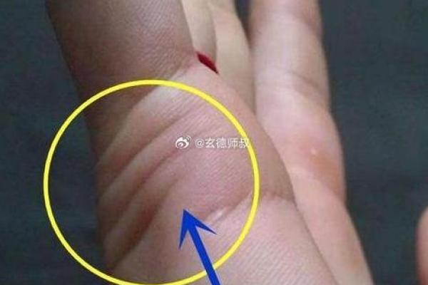 手相占卜大揭秘:结婚的最佳时间点,你找到了吗? 手相占卜大揭秘:结婚的最佳时间点,你找到了吗?