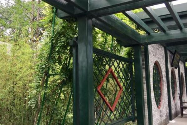 李安卉：宁静如菊，安详而卉，美好人生之旅