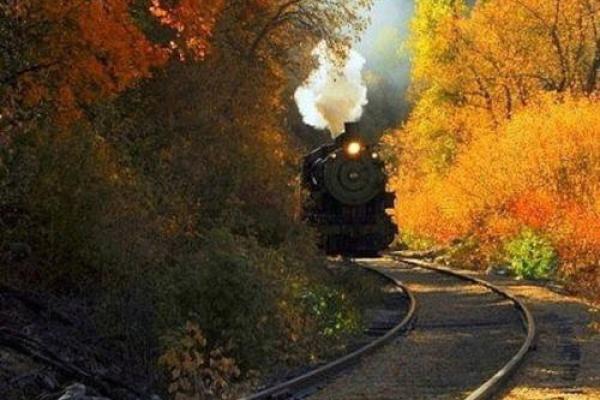 李安卉：宁静如菊，安详而卉，美好人生之旅