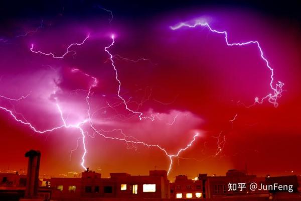 鹿眼识人心，洞察命运之眼