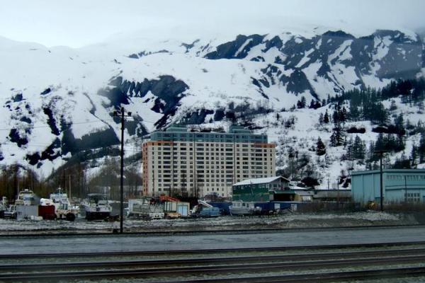 阿拉斯加名字大全:探索霸气与力量的象征 阿拉斯加名字大全:探索霸气与力量的象征