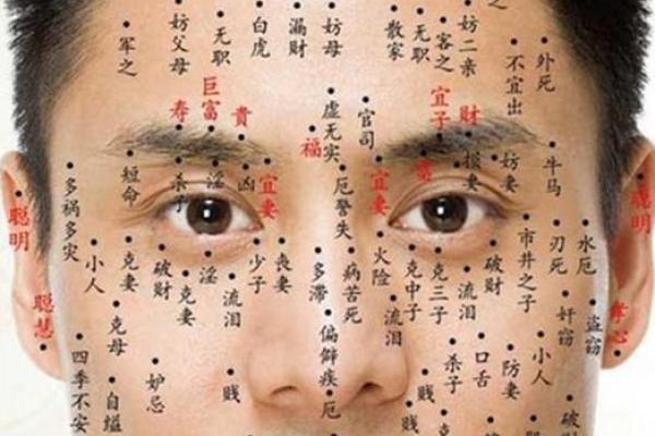 面部痣相决定命运？男性脸上痣相解析，运势一览无余！