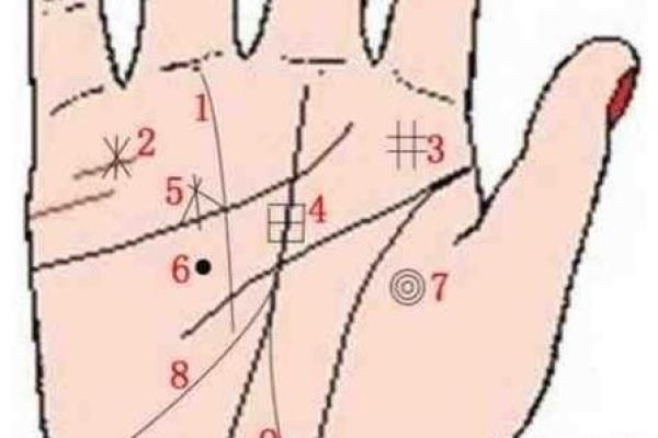 手相星丘解读:掌握你的运势风向标 手相星丘解读:掌握你的运势风向标