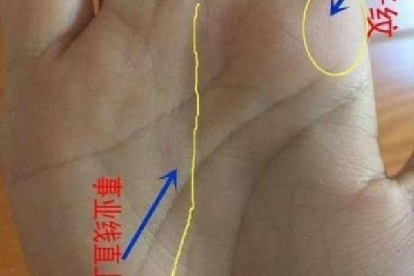 揭秘手相中的横财纹,七大富贵手相图集锦! 揭秘手相中的横财纹,七大富贵手相图集锦!