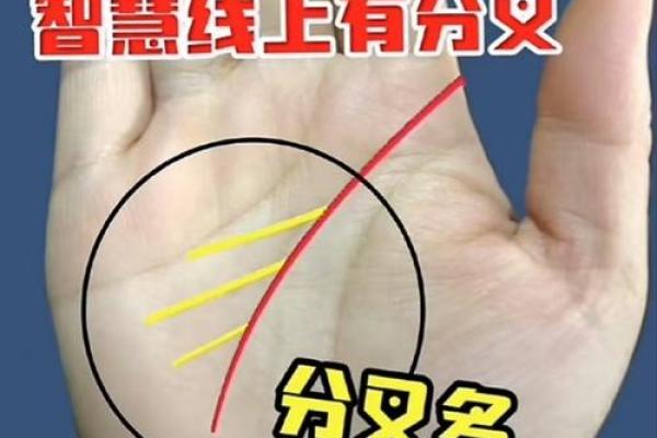 揭秘手相中的横财纹,七大富贵手相图集锦! 揭秘手相中的横财纹,七大富贵手相图集锦!