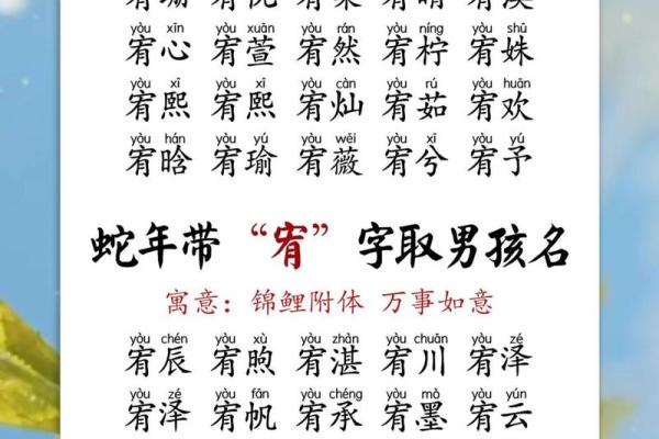 鸡年男宝宝命名:文化内涵丰富的名字精选 鸡年男宝宝命名:文化内涵丰富的名字精选