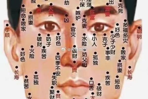 痣相命运说:揭秘痣相背后的神秘力量! 痣相命运说:揭秘痣相背后的神秘力量!