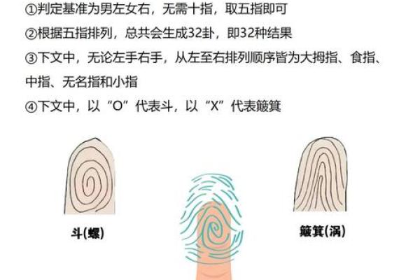 探索命运奥秘：命理乾坤全新解读