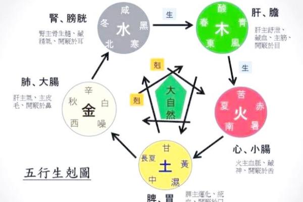 内脏健康与五行平衡的关系揭秘 内脏健康与五行平衡的关系揭秘
