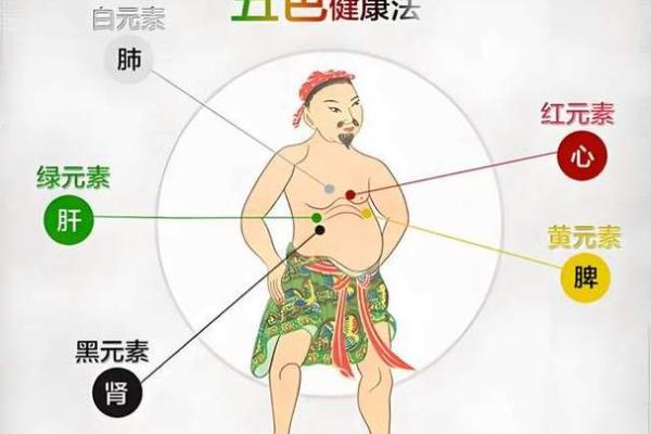 内脏健康与五行平衡的关系揭秘 内脏健康与五行平衡的关系揭秘
