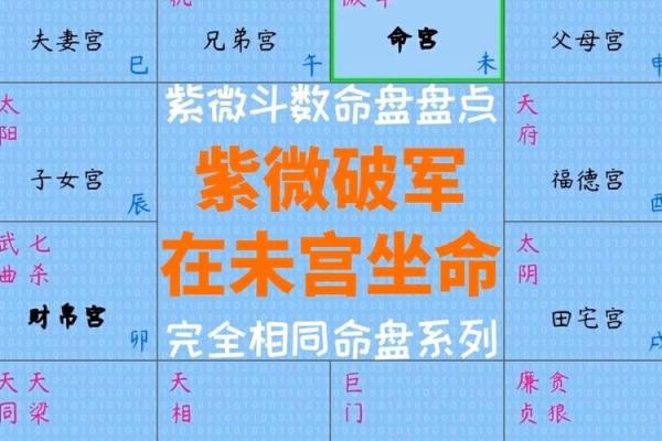 紫薇斗数传奇:揭秘你的命盘,预见未来人生! 紫薇斗数传奇:揭秘你的命盘,预见未来人生!