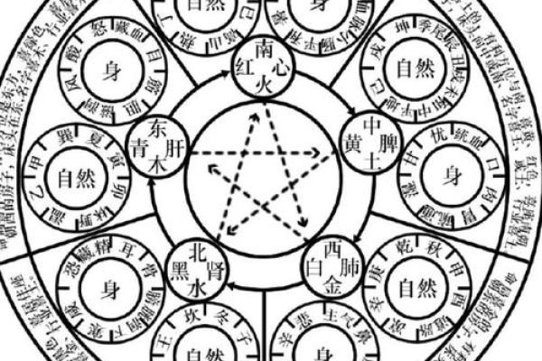 元在五行中的独特定位 元在五行中的独特定位