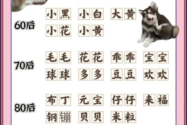 狗宝宝名字灵感大全 狗宝宝名字灵感大全