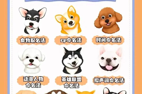 狗宝宝名字灵感大全 狗宝宝名字灵感大全