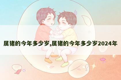 属猪的今年多少岁,属猪的今年多少岁2024年