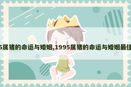 1995属猪的命运与婚姻,1995属猪的命运与婚姻最佳配偶