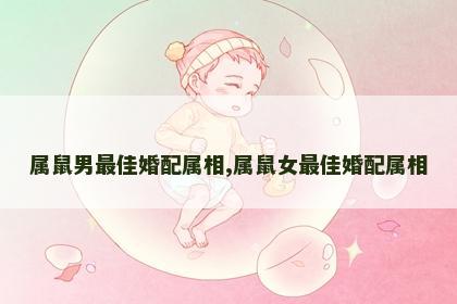 属鼠男最佳婚配属相,属鼠女最佳婚配属相