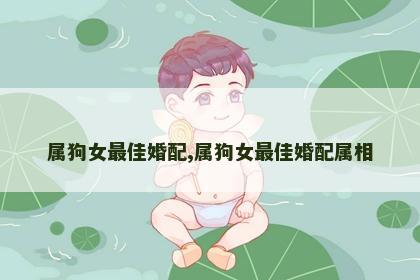 属狗女最佳婚配,属狗女最佳婚配属相