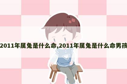 2011年属兔是什么命,2011年属兔是什么命男孩