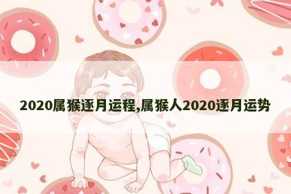 2020属猴逐月运程,属猴人2020逐月运势