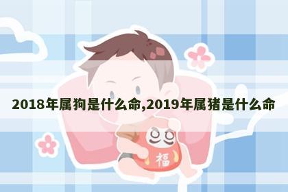 2018年属狗是什么命,2019年属猪是什么命