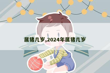 属猪几岁,2024年属猪几岁