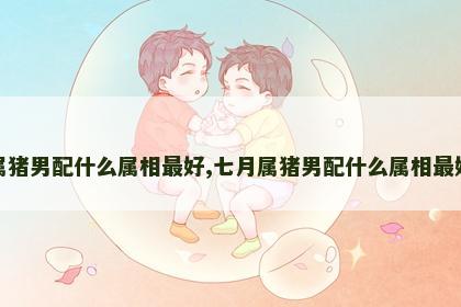 属猪男配什么属相最好,七月属猪男配什么属相最好