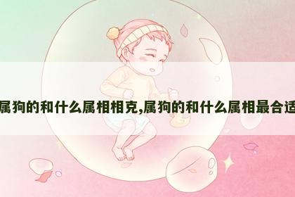 属狗的和什么属相相克,属狗的和什么属相最合适