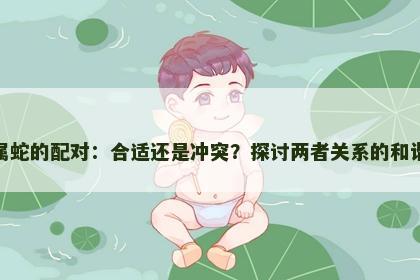 属马和属蛇的配对：合适还是冲突？探讨两者关系的和谐与挑战