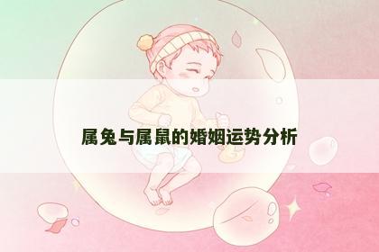 属兔与属鼠的婚姻运势分析