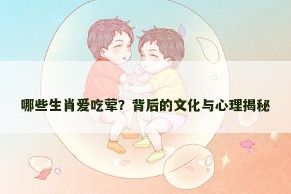 哪些生肖爱吃荤？背后的文化与心理揭秘