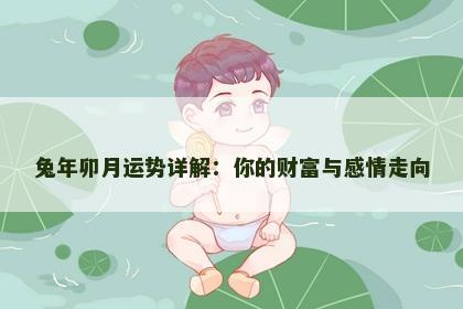 兔年卯月运势详解：你的财富与感情走向