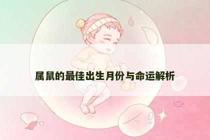 属鼠的最佳出生月份与命运解析